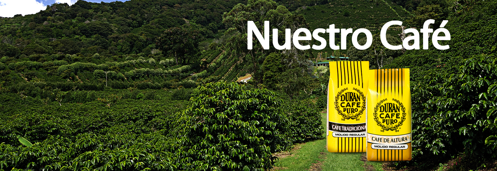 Café Durán Panamá Café de calidad 100 Panameño